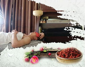 中国养生保健网 打造一站式养生保健服务与用品行业门户